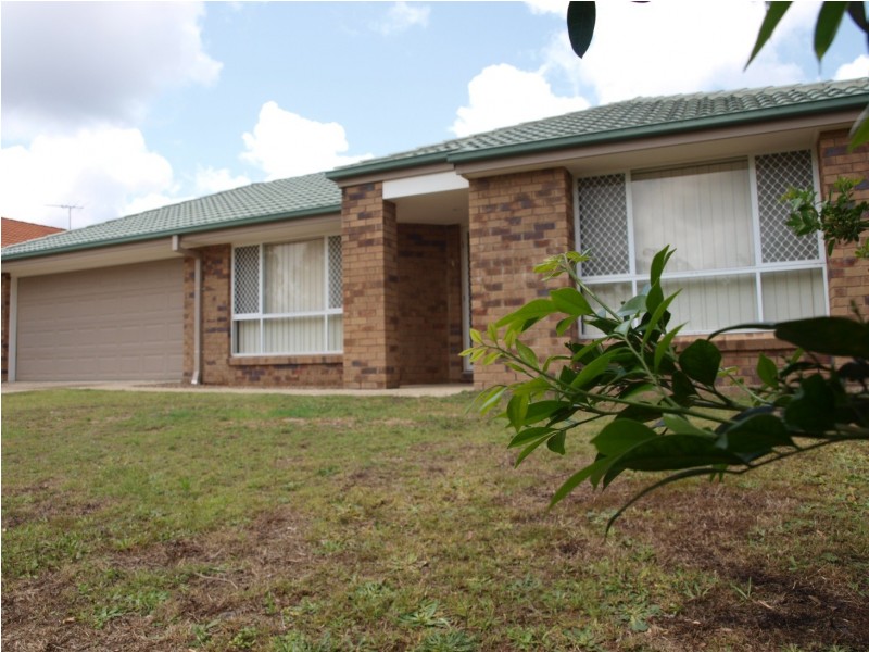 12  Vistula Circuit, Springfield QLD 4300