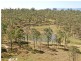 Lot 3 Steeleys Rd, Wivenhoe Hill QLD 4311