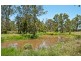17 Carralluma Crescent, Fernvale QLD 4306