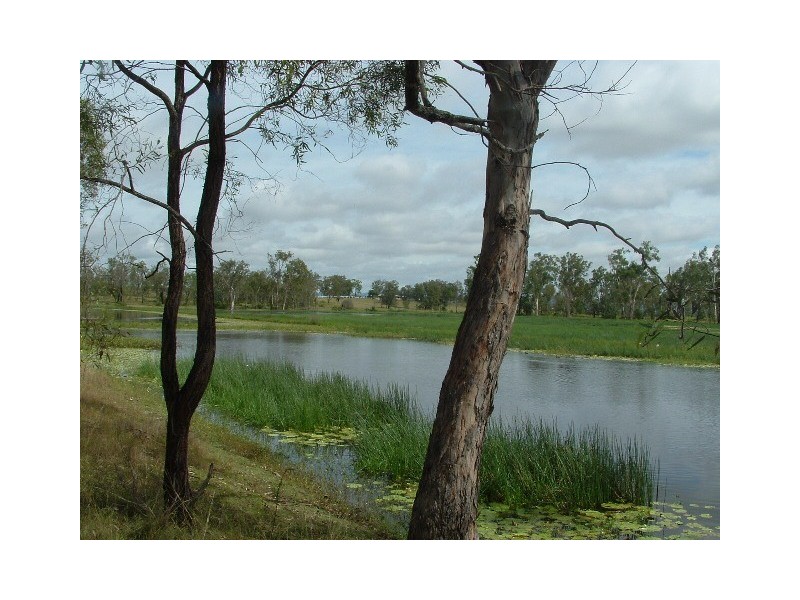 L149 Old Ropeley Rd, Lower Tenthill QLD 4343