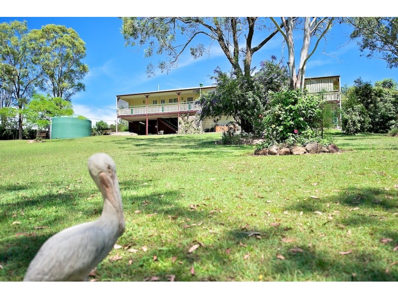 57 Marsilea Road, Fernvale QLD 4306