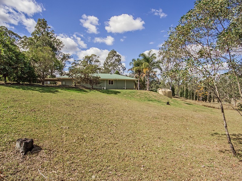 53 Mamaku Street, Fernvale QLD 4306