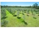 249 Willaura Drive, Mount Hallen QLD 4312