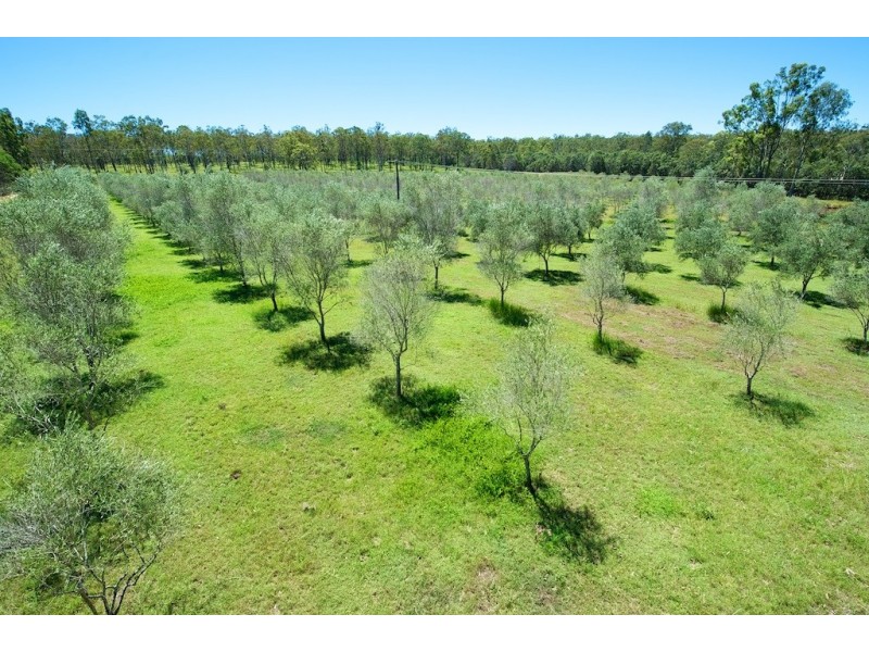 249 Willaura Drive, Mount Hallen QLD 4312