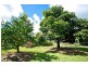 3 Harm Street, Lowood QLD 4311