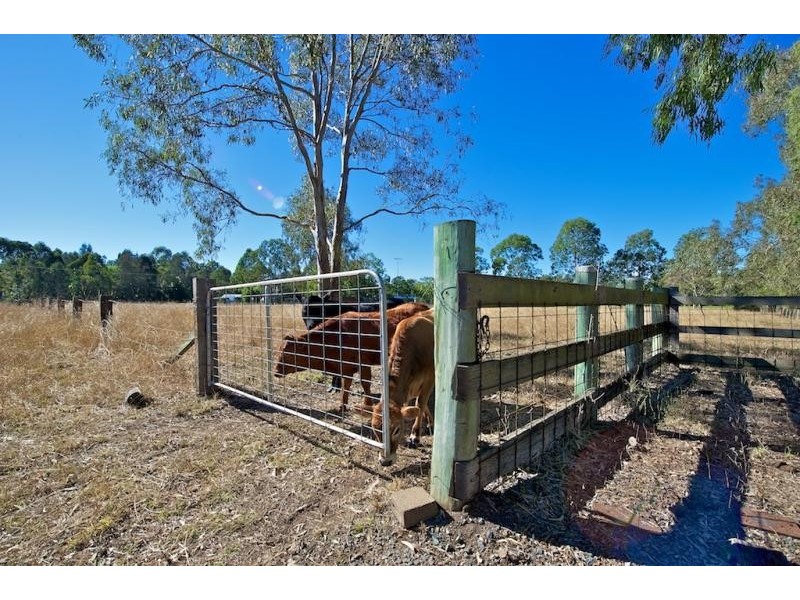 54 South Queensborough Pde, Karalee QLD 4306