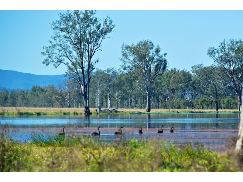 Lot 155 Vineyard Road, Coominya QLD 4311