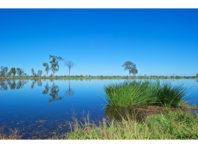 Lot 155 Vineyard Road, Coominya QLD 4311