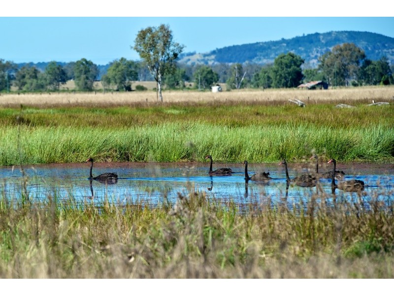 Lot 155 Vineyard Road, Coominya QLD 4311