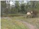 Lot 7 Fox’s Road, Buaraba QLD 4311