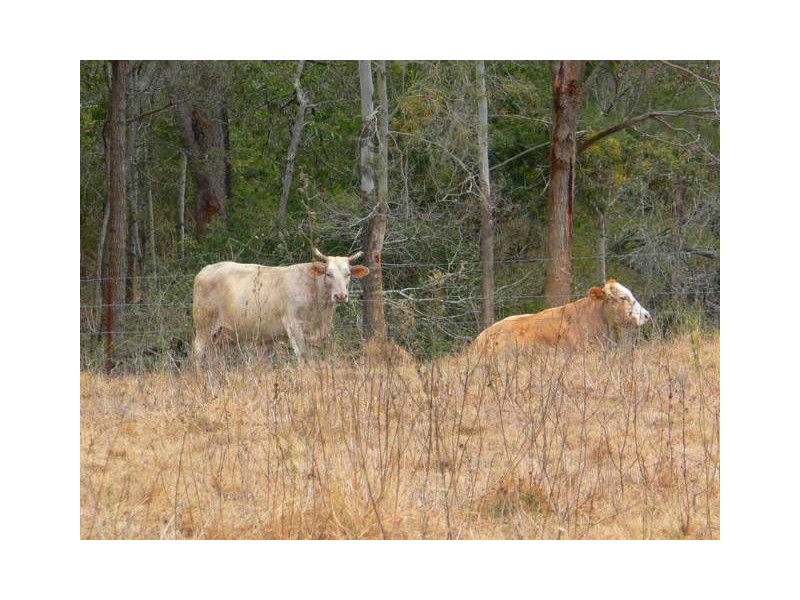 Lot 7 Fox’s Road, Buaraba QLD 4311