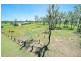 897 Clarendon Road, Clarendon QLD 4311