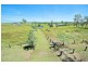 897 Clarendon Road, Clarendon QLD 4311