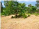 6 Ballow St, Woodend QLD 4305