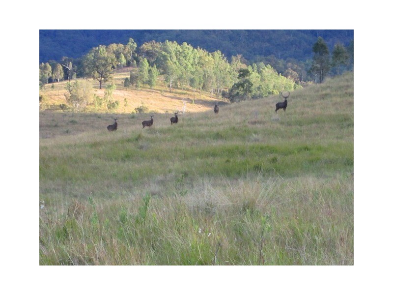 L240 Croftby Road, Moogerah QLD 4309