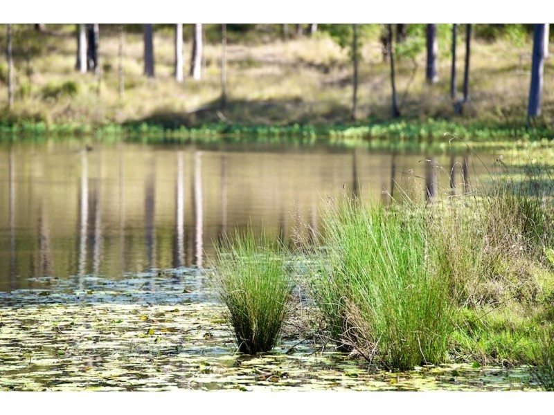 Lot 100 T Morrows Road, Goolman QLD 4306