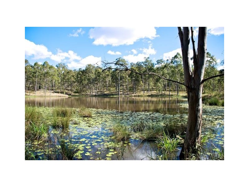 Lot 100 T Morrows Road, Purga QLD 4306