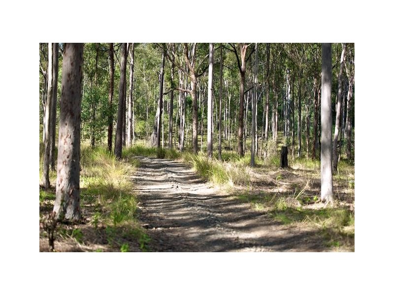 Lot 100 T Morrows Road, Purga QLD 4306