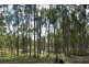 Lot 100 T Morrows Road, Purga QLD 4306