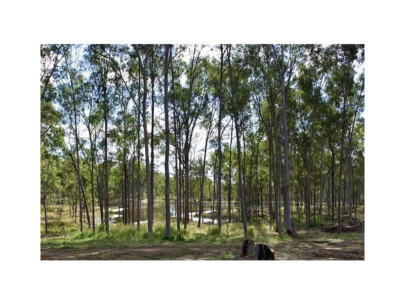 Lot 100 T Morrows Road, Purga QLD 4306