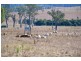 5648 Brisbane Valley Highway, Esk QLD 4312