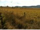 Lot 1 Paddy Gully Rd, Glen Esk QLD 4312