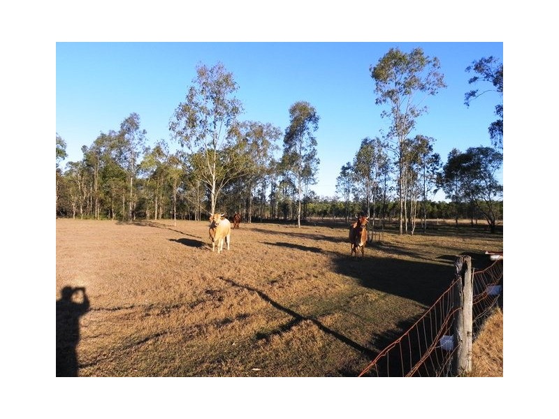 1 Carbine Rd, Spring Creek QLD 4343