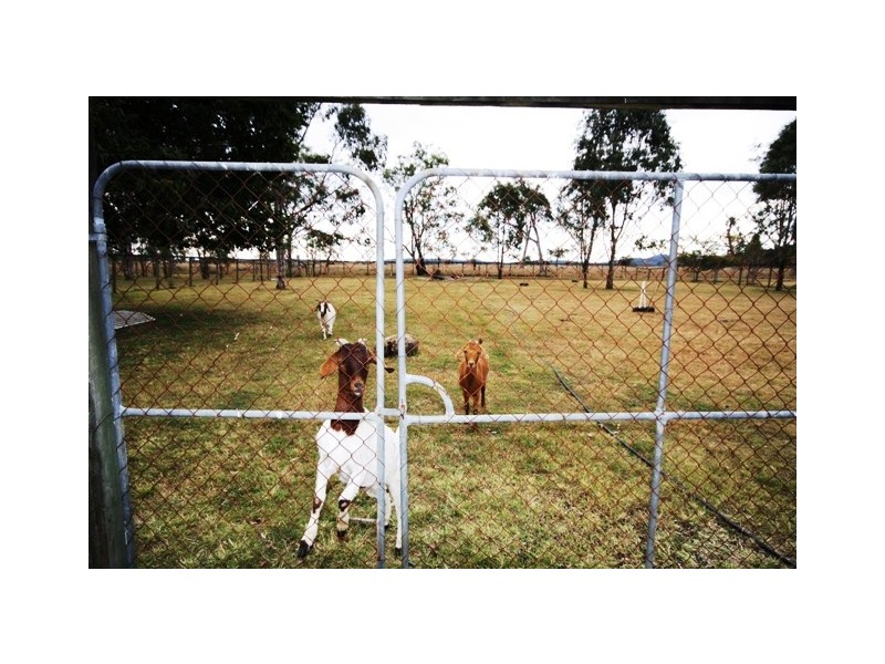 25 Schmidt Rd, Fernvale QLD 4306