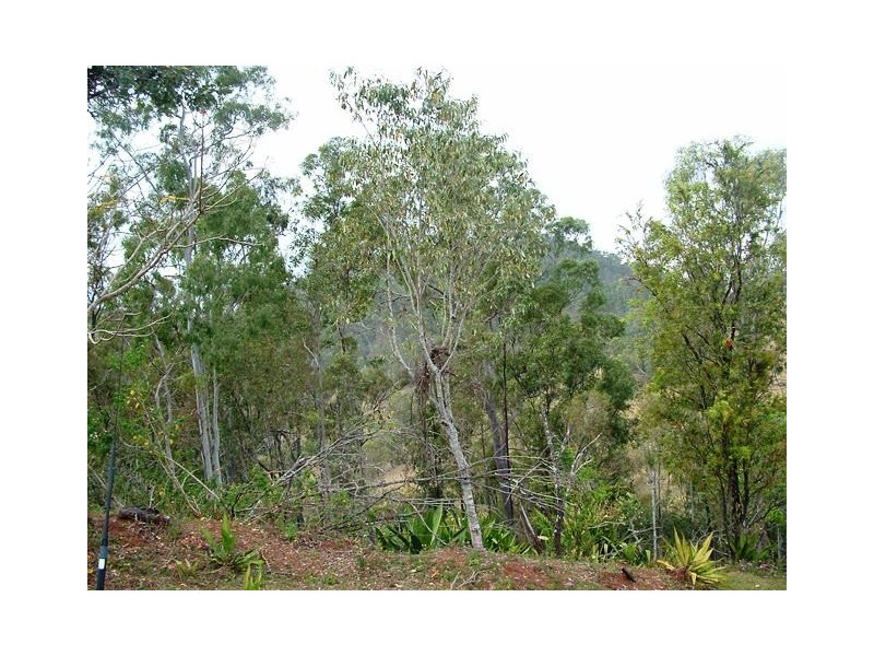 337 Englands Creek Rd, England Creek QLD 4306