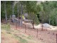337 Englands Creek Rd, England Creek QLD 4306