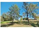59 Mamaku Street, Fernvale QLD 4306