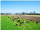 256 Rifle Range Rd, Rifle Range QLD 4311