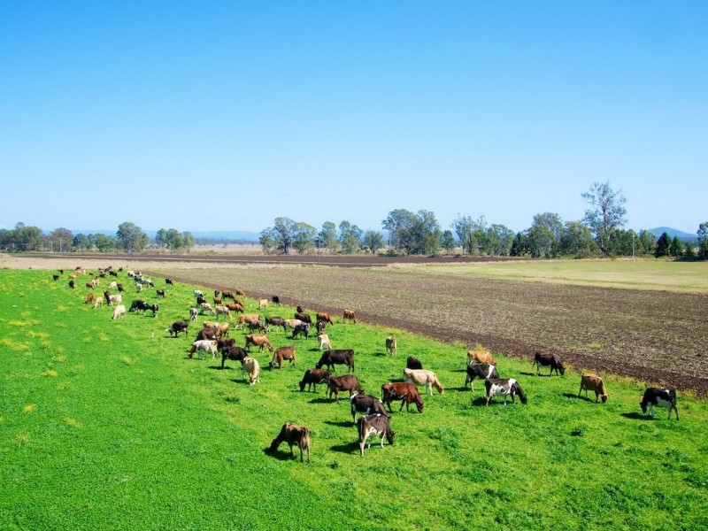 256 Rifle Range Rd, Rifle Range QLD 4311