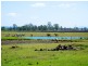 256 Rifle Range Rd, Rifle Range QLD 4311