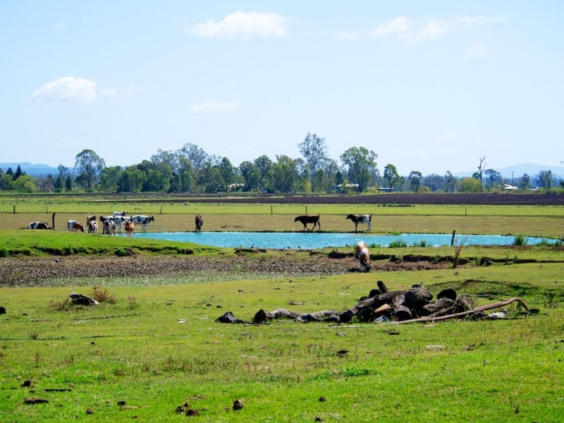 256 Rifle Range Rd, Rifle Range QLD 4311