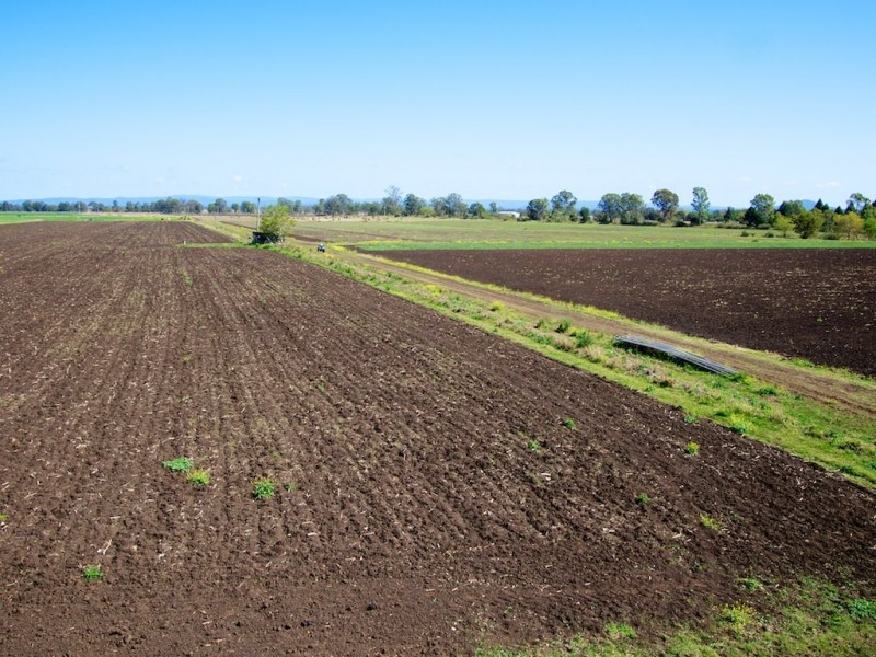 256 Rifle Range Rd, Rifle Range QLD 4311