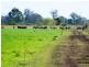 256 Rifle Range Rd, Rifle Range QLD 4311