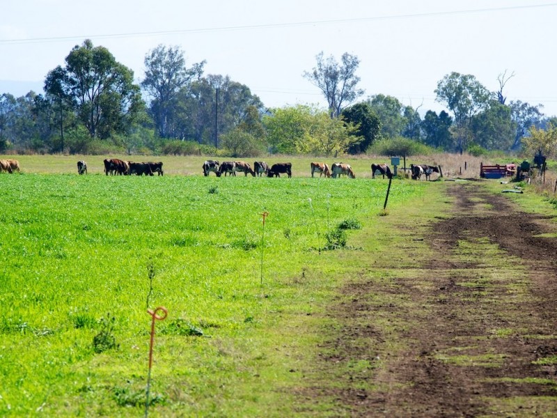 256 Rifle Range Rd, Rifle Range QLD 4311