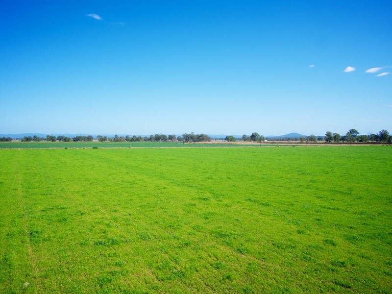 256 Rifle Range Rd, Rifle Range QLD 4311