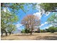 119 Schulz Rd, Coolana QLD 4311