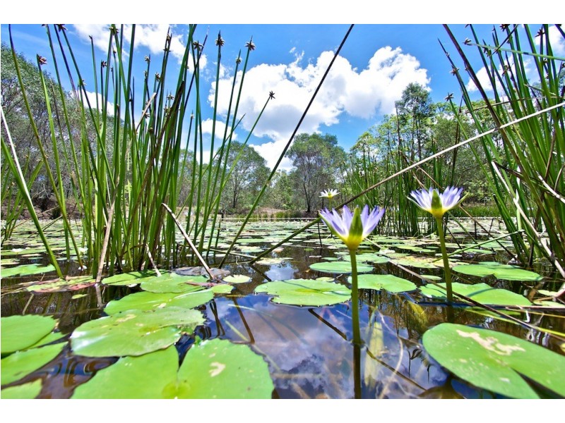 75 Farrell Road, Pine Mountain QLD 4306