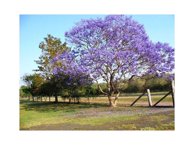 432 VERNOR ROAD, Wivenhoe Pocket QLD 4306