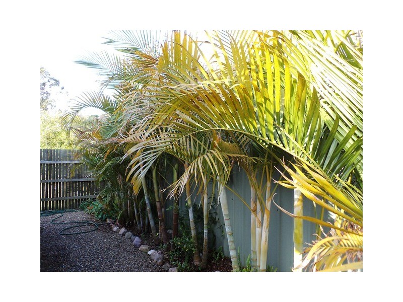 15/25 Coopers Rd, Willowbank QLD 4306