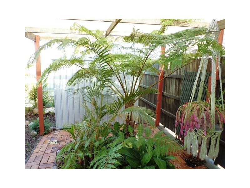 15/25 Coopers Rd, Willowbank QLD 4306