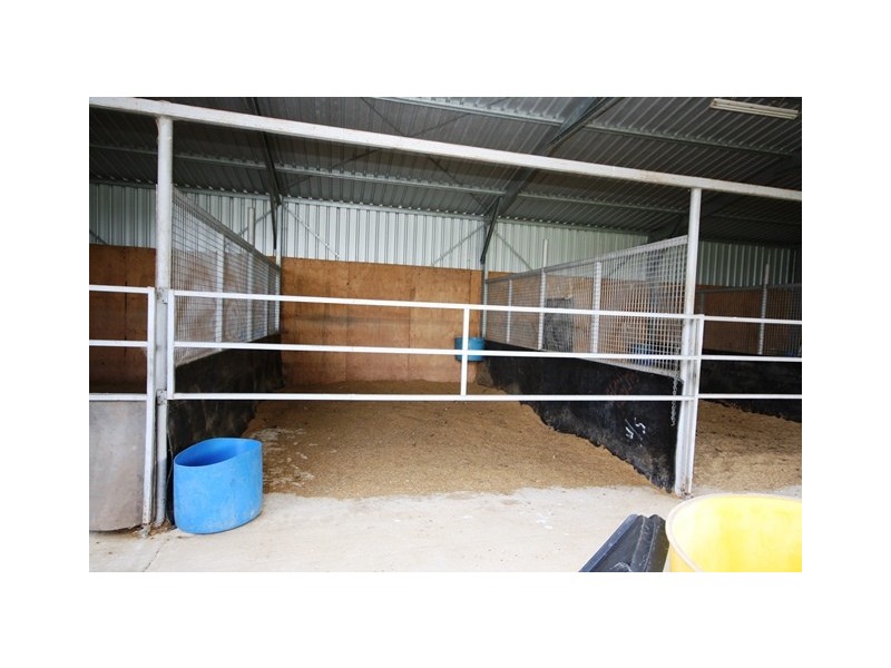 93 Hecks Rd, Glamorgan Vale QLD 4306