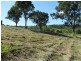 111 Harpeng Drive, Minden QLD 4311
