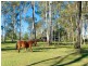 74 Borallon Station Rd, Pine Mountain QLD 4306