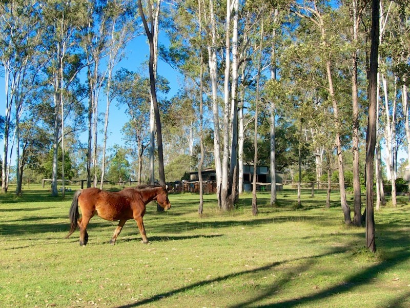 74 Borallon Station Rd, Pine Mountain QLD 4306