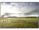 157 Jendra Rd, Coolana QLD 4311