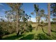25 MAMAKU STREET, Fernvale QLD 4306